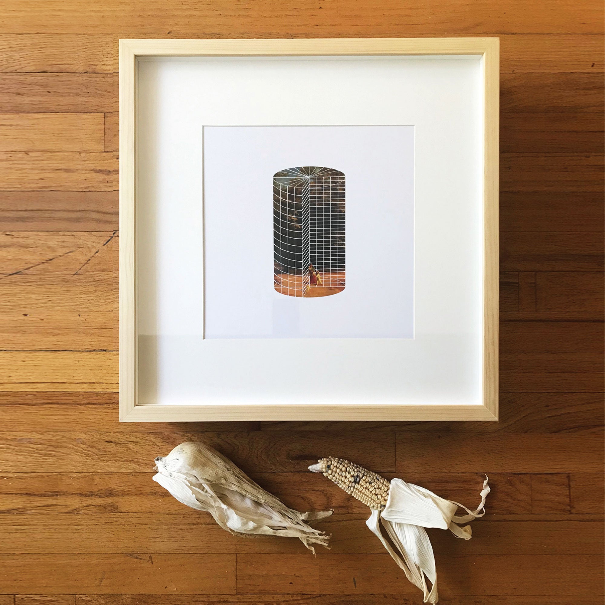 ÁRBOLES EN PATIO RETICULA