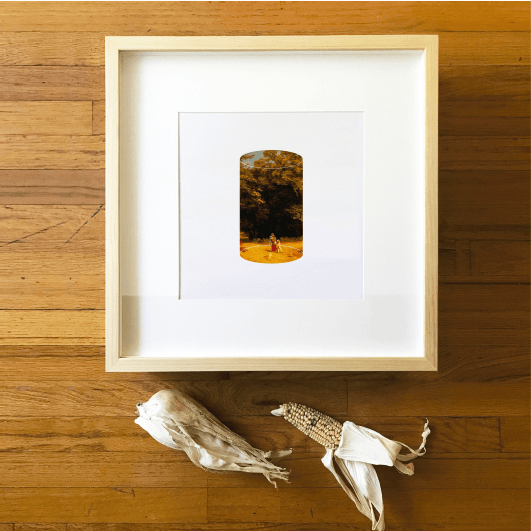 Árboles en Patio Chilaquil 