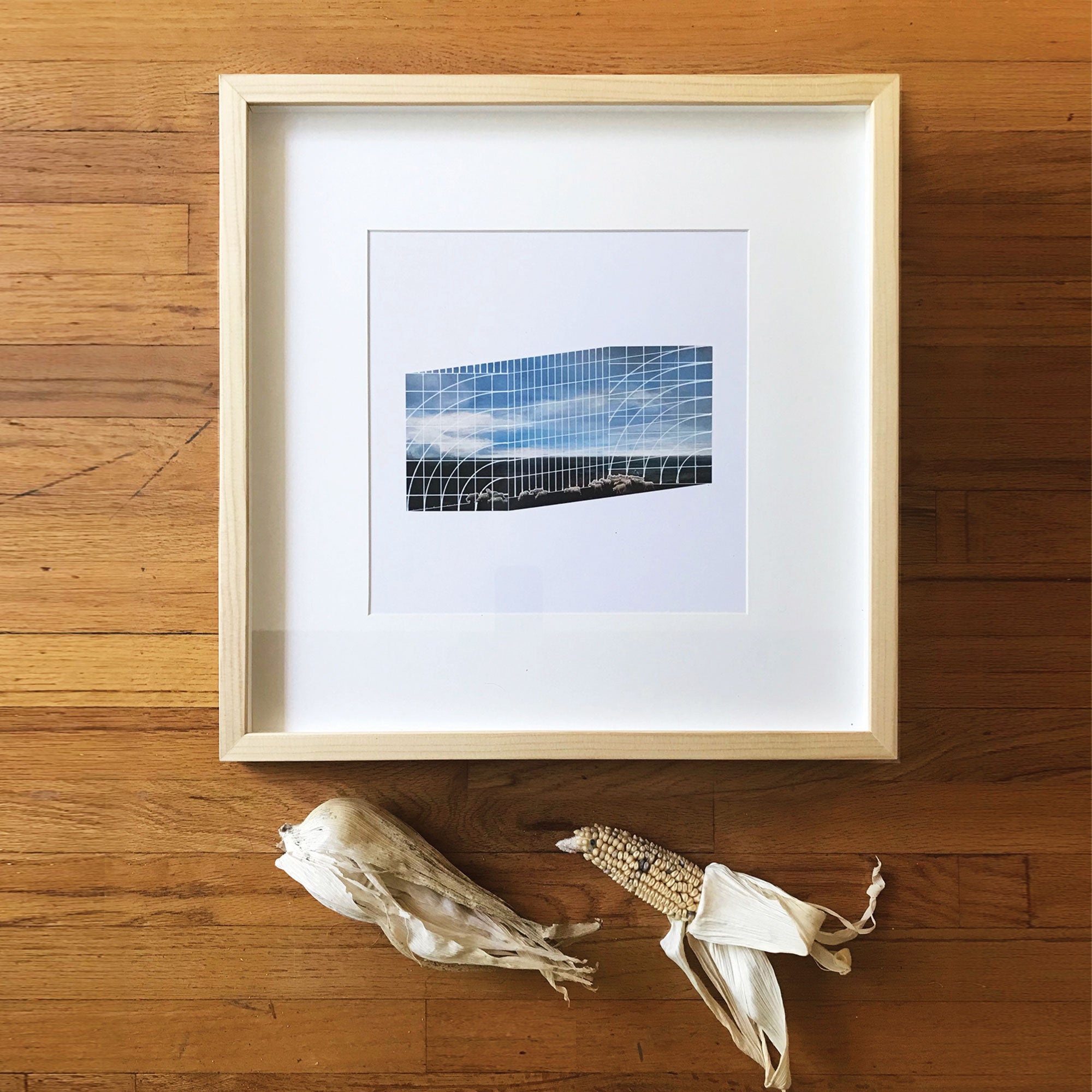 LUZ EN EL CIELO EN PATIO RETÍCULA