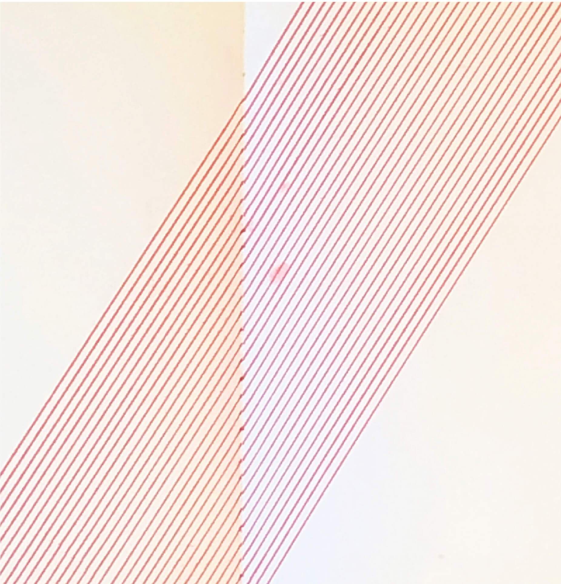 Ocres y dorados 02 Chilaquil 